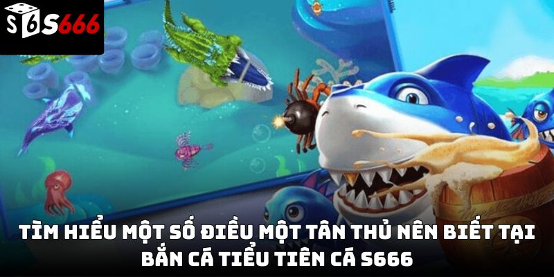 Bắn cá tiên cá S666 – Trải nghiệm săn thưởng hấp dẫn