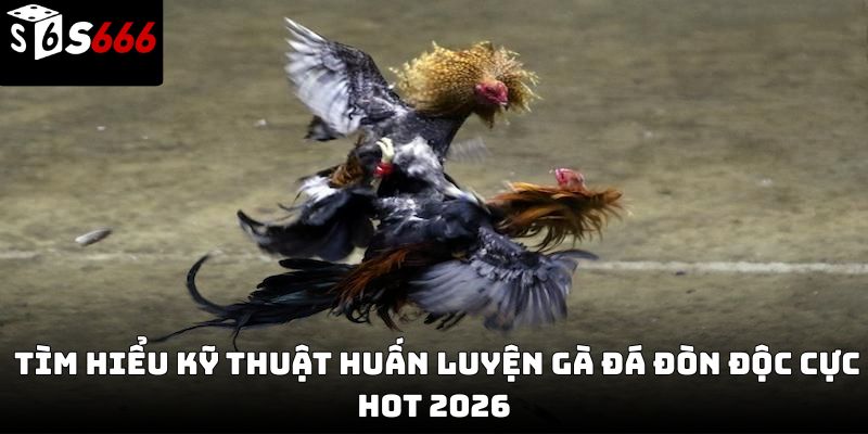 Gà đá đòn độc S666 – Bí quyết tạo nên chiến kê đỉnh cao