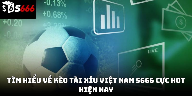 Kèo tài xỉu Việt Nam s666: Hướng dẫn chi tiết từ cơ bản 
